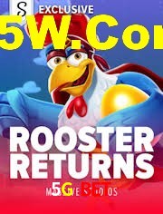 Crash Games Statistics 5G BET